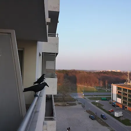 Lokum Nad Morzem *
